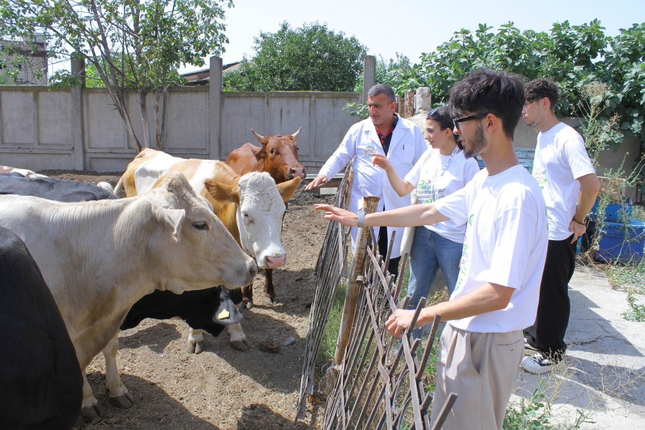 ADAU-da yay məktəbi davam edir - FOTOLAR